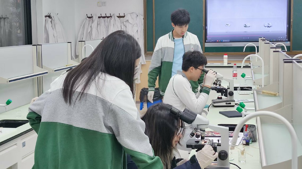 20241107微分子生物社团课2.jpg